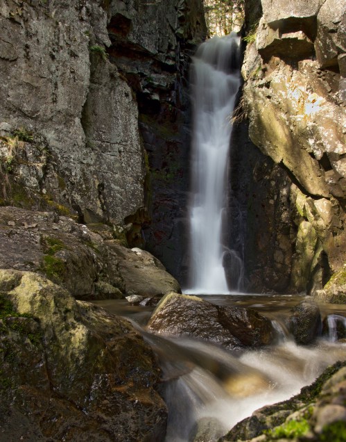 A serene waterfall cascades down rocky cliffs into a tranquil stream, surrounded by lush greenery.