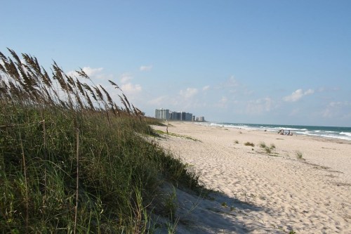 A sandy beach with tall grass in the foreground and distant buildings along the shoreline under a clear blue sky.