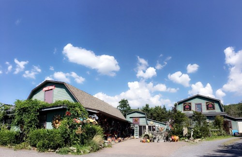 A charming rustic shop with colorful decorations, surrounded by greenery under a bright blue sky with fluffy clouds.