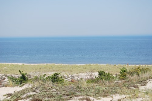 A serene beach scene with gentle waves, sandy shore, and grassy dunes under a clear blue sky.