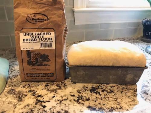 A bag of unbleached white bread flour next to a loaf of dough rising in a metal pan on a countertop.