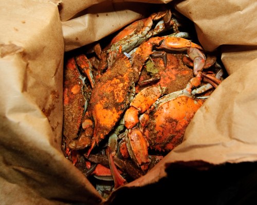 A close-up of a bag filled with seasoned crabs, showcasing their orange shells and spices.