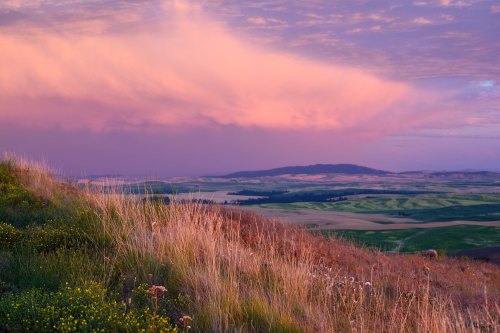 A scenic landscape at sunset, featuring rolling hills, vibrant clouds, and tall grass in the foreground.