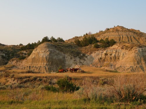 Horses grazing in a grassy area surrounded by rugged hills and trees under a clear sky.