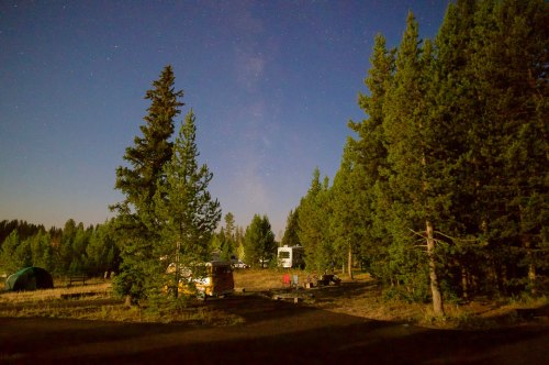 A serene campsite surrounded by tall trees under a starry night sky, with tents and an RV visible in the background.