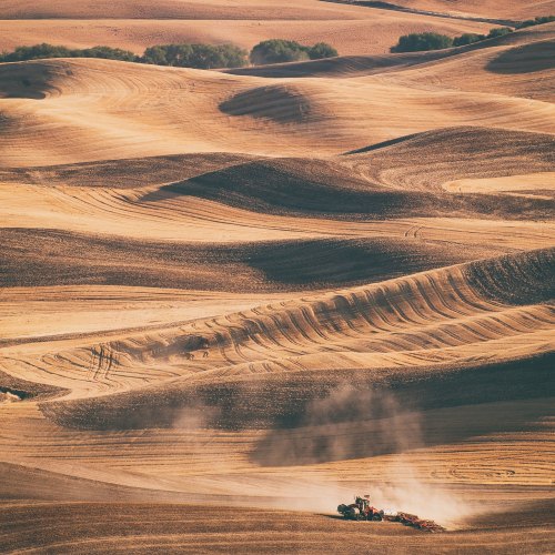A tractor plows through rolling golden fields, creating dust clouds in a serene agricultural landscape.