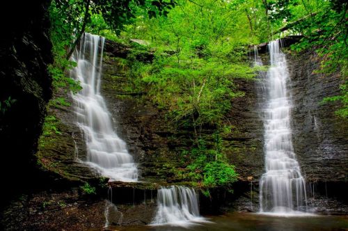 A serene waterfall cascades down rocky cliffs, surrounded by lush green foliage and a tranquil pool below.