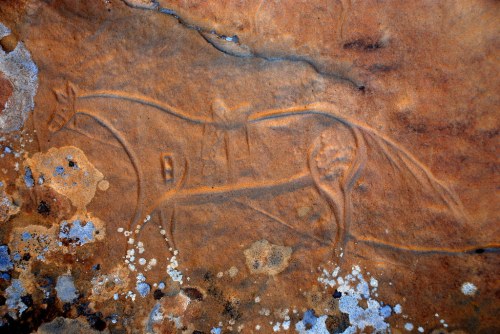 Petroglyph of a horse carved into a rocky surface, surrounded by natural textures and colors.