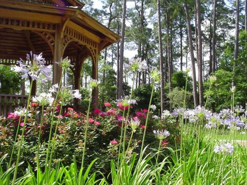A wooden gazebo surrounded by colorful flowers and tall trees in a lush garden setting.