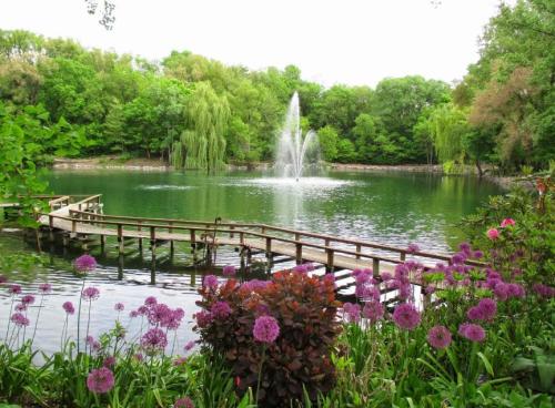 A serene pond surrounded by lush greenery and colorful flowers, featuring a fountain and a wooden walkway.