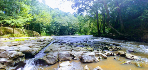 A serene river flows over rocky terrain, surrounded by lush green trees and a bright blue sky.