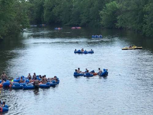 People floating on inner tubes in a river, surrounded by lush green trees and a calm waterway.