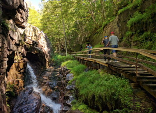 A wooden walkway alongside a stream in a lush forest, with people walking and enjoying the natural scenery.