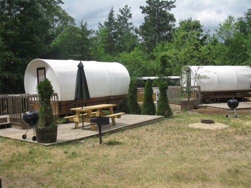 Two covered wagons on a wooden deck, surrounded by greenery, with picnic tables and a fire pit nearby.