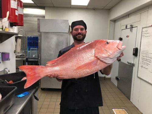 A chef in a kitchen holds a large, vibrant red fish, smiling proudly at the camera.