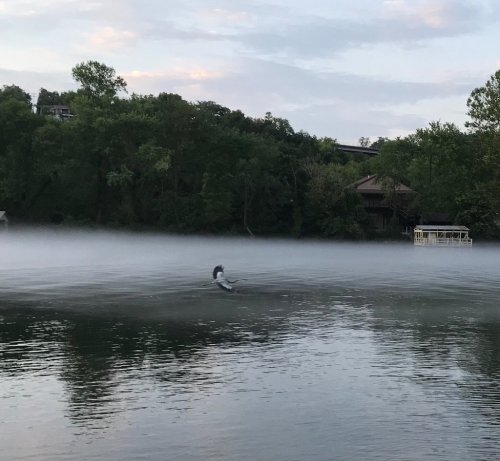 A serene lake scene with mist rising from the water, surrounded by lush green trees and a distant house.