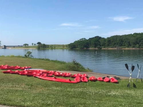 Red kayaks lined up on the grass by a calm lake, with trees and a clear blue sky in the background.