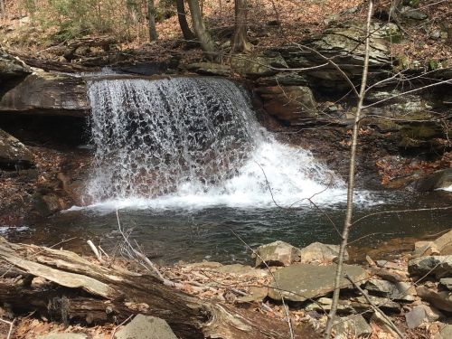 A small waterfall cascades over rocks into a serene pool, surrounded by trees and fallen leaves in a forested area.