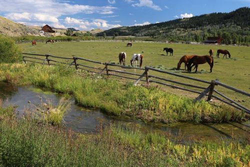 A serene landscape with horses grazing in a green field, a stream in the foreground, and mountains in the background.