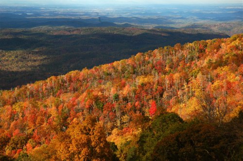 A vibrant landscape of rolling hills covered in colorful autumn foliage, showcasing shades of red, orange, and yellow.