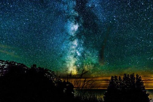 A stunning night sky filled with stars and the Milky Way, framed by silhouettes of trees against a colorful horizon.