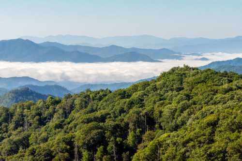 A panoramic view of lush green mountains with misty valleys and distant blue peaks under a clear sky.