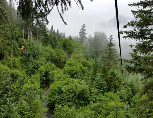 Two zipliners glide through a lush green forest, surrounded by misty mountains and tall trees.