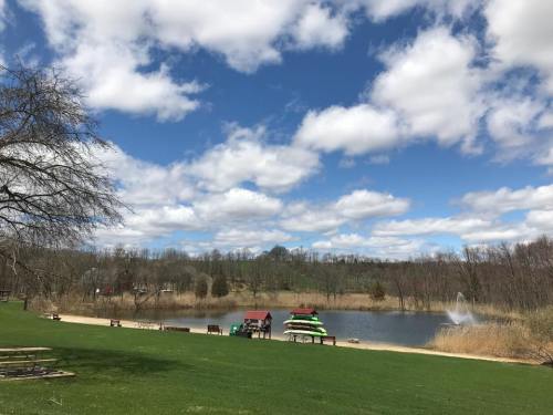 A serene park scene featuring a pond, green grass, picnic tables, and a cloudy blue sky.