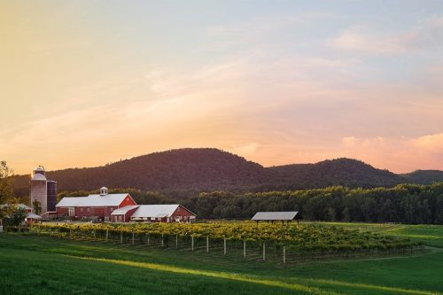 A picturesque farm with a red barn and vineyard, set against rolling hills and a colorful sunset sky.