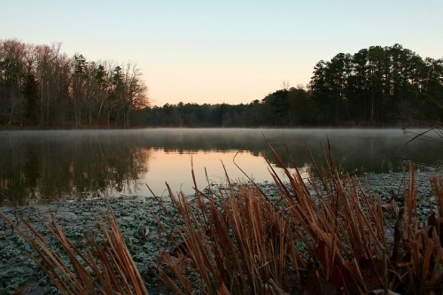 A serene lake at dawn, surrounded by trees, with mist rising from the water and frosty grass in the foreground.