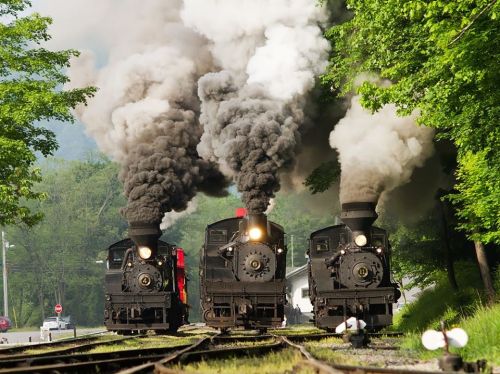 Three vintage steam locomotives billow black smoke as they stand on a green, tree-lined railway track.