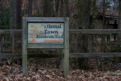Sign for "Dismal Town Boardwalk Trail" surrounded by trees and fallen leaves.