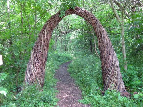 A natural arch made of intertwined branches stands at the entrance to a lush, green forest path.