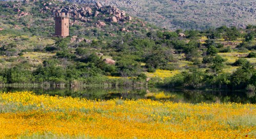 A scenic landscape featuring a stone tower, vibrant yellow wildflowers, and a calm lake surrounded by rocky hills.