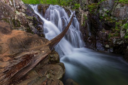 A serene waterfall cascades over rocks, with a fallen log resting on the edge, surrounded by lush greenery.