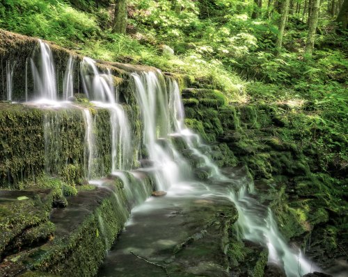 A serene waterfall cascades over moss-covered rocks in a lush green forest.
