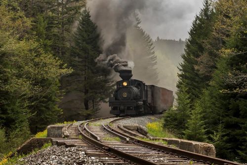 A vintage steam train chugs along a winding track through a dense forest, emitting smoke against a misty backdrop.