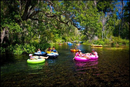 People relaxing on colorful inner tubes in a serene, tree-lined river on a sunny day.