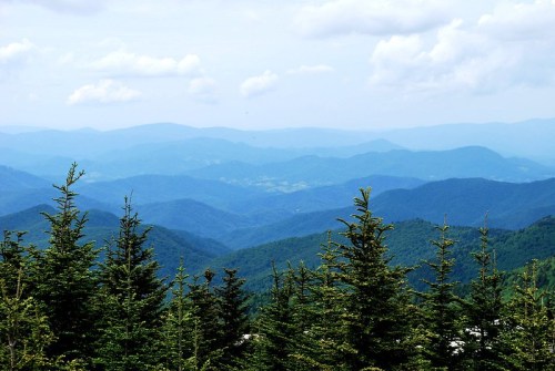 A panoramic view of rolling blue mountains under a cloudy sky, with evergreen trees in the foreground.