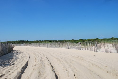 A sandy path leads through a beach area, bordered by wooden fencing and greenery under a clear blue sky.