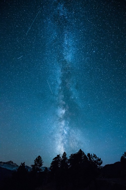 A stunning night sky filled with stars and the Milky Way, framed by silhouettes of trees below.