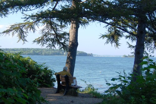 An elderly person sits on a bench by the water, surrounded by trees and greenery, enjoying a peaceful view.