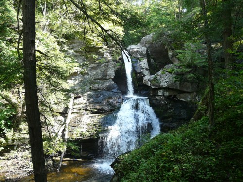 A serene waterfall cascades over rocks, surrounded by lush green trees in a tranquil forest setting.