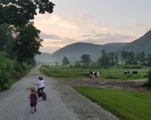 Two children walk and ride a bike on a gravel road, with cows grazing in a misty, green landscape at sunrise.
