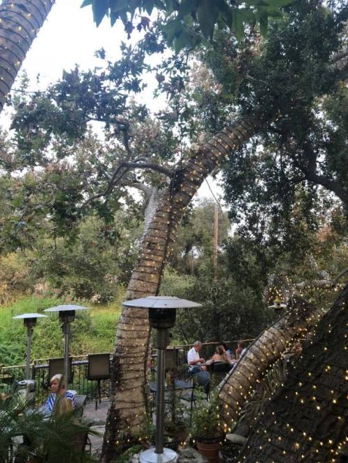 A cozy outdoor dining area surrounded by trees adorned with string lights, creating a warm, inviting atmosphere.