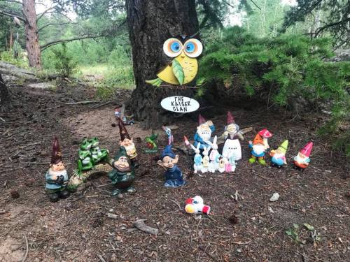 A whimsical display of garden gnomes and figurines arranged under a tree, with an owl sign reading "The Kaiser Clan."