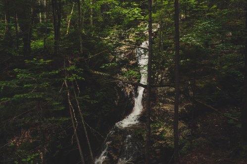 A serene waterfall cascading through a lush, green forest surrounded by trees and rocks.