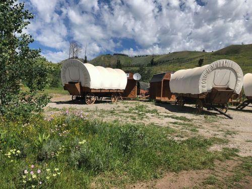 Two covered wagons parked on a grassy area, surrounded by wildflowers and rolling green hills under a blue sky with clouds.