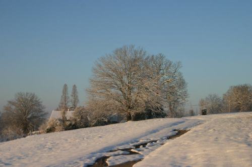 A snowy landscape with a large tree, a clear blue sky, and a winding path leading through the white-covered ground.