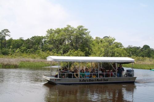 A tour boat filled with people navigates a calm river surrounded by lush greenery and marshland.